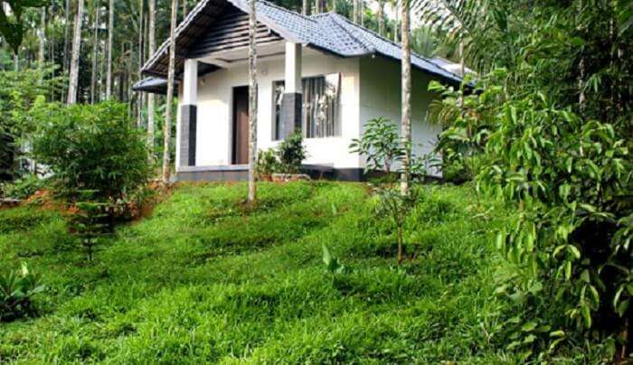 villa surrounded by lush green