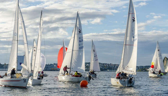 Watch Or Participate In A Yacht Race