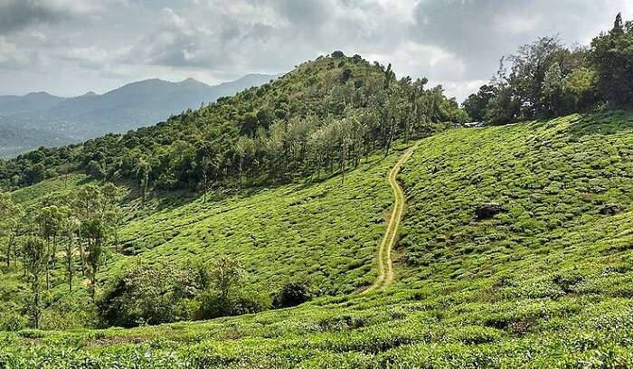 popular hill stations near Guruvayur