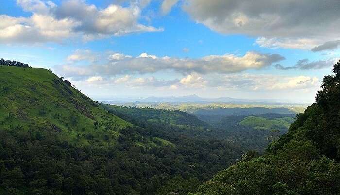 beauty of the nature