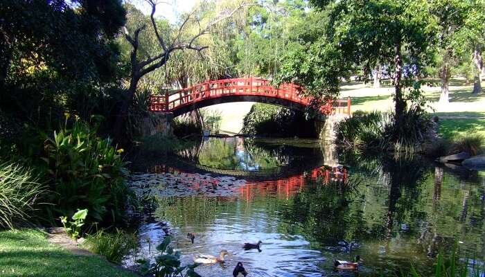 Wollongongbotanicgardens