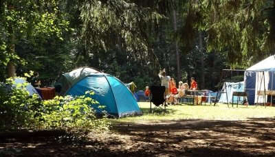 Pine Hill Eco Camp