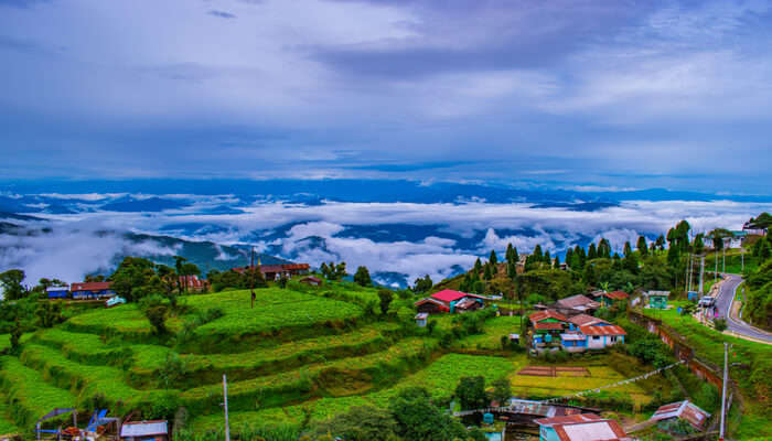 darjeeling eco tourism