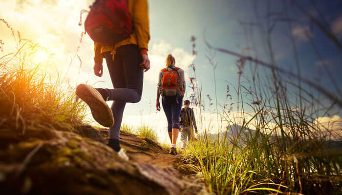 10 Scenic Trails For Hiking In Cairns In 22