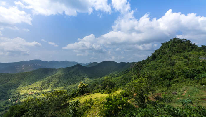 Araku Valley In Summer