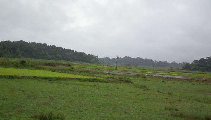 Hill Stations Near Coorg