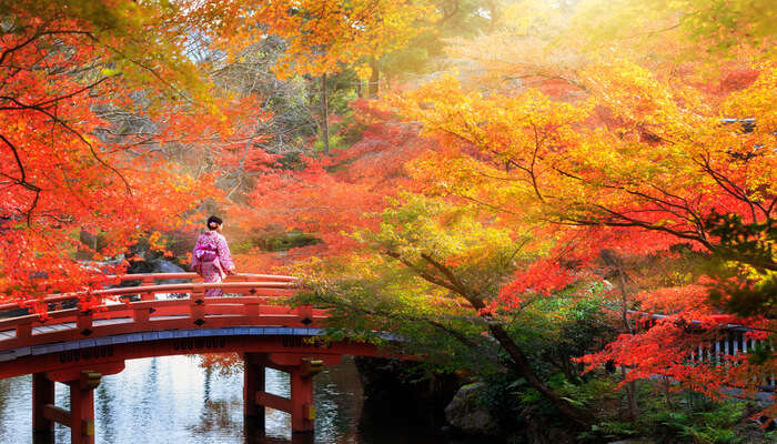 Japan in October: Travel Tips, Weather, and More