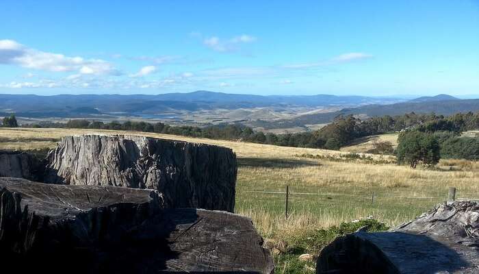 Best Tasmania in March