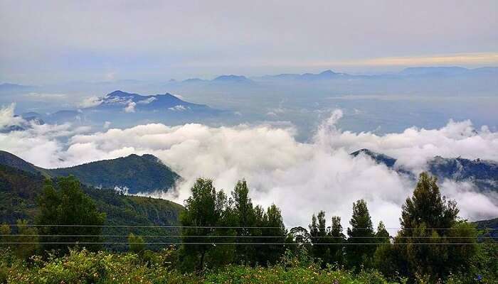cover - things to do in kodaikanal