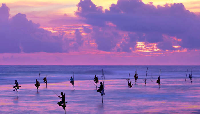 galle beach sunset