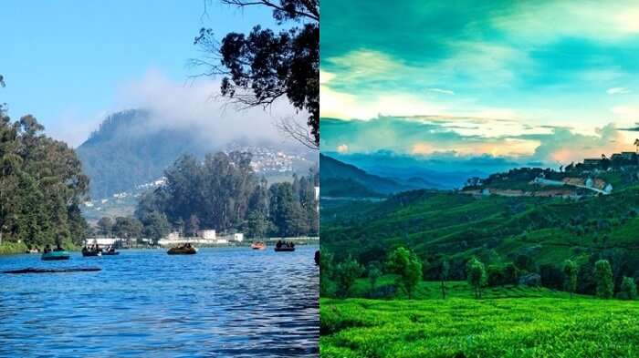 Ooty Vs Munnar: