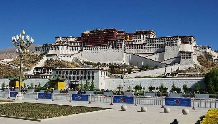 lhasa