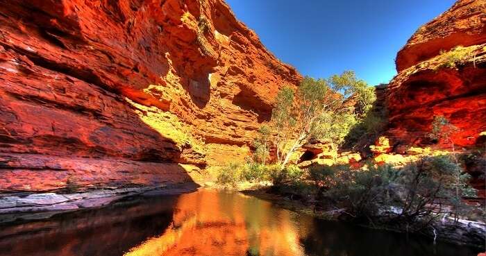 How Australia’s Bushfires Shape the Landscape