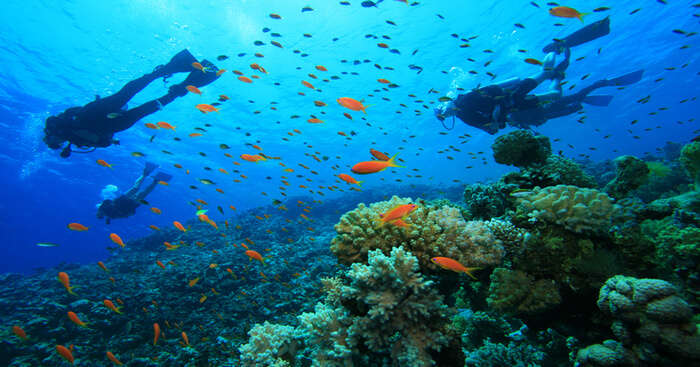 Scuba Diving In Lakshadweep Promises Thrill And Adventure!