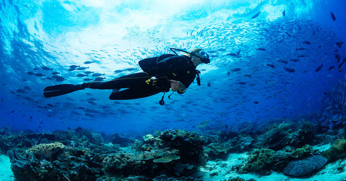 scuba diving tour sydney