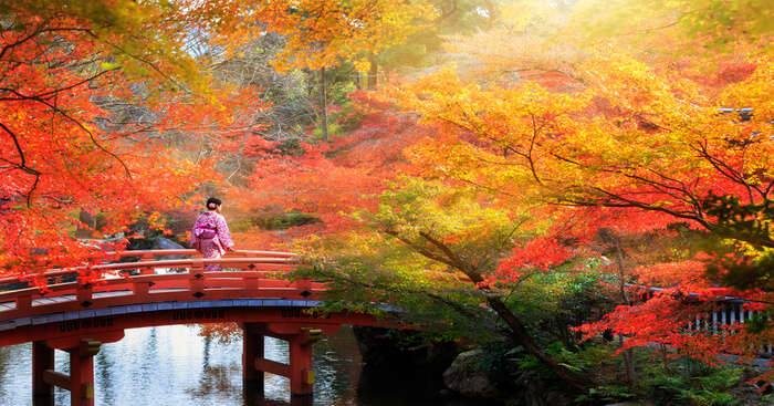 Japan In October 2022: The Weather, Places To Visit And More