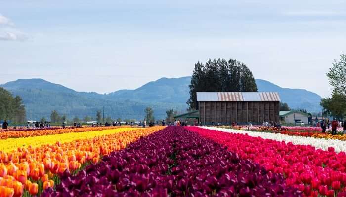 tourism abbotsford bc