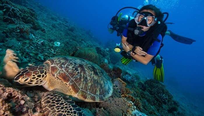 Scuba Diving In Koh Samui