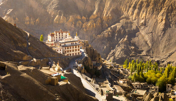 Ladakh Diaries: Captivating Beauty & Adventure