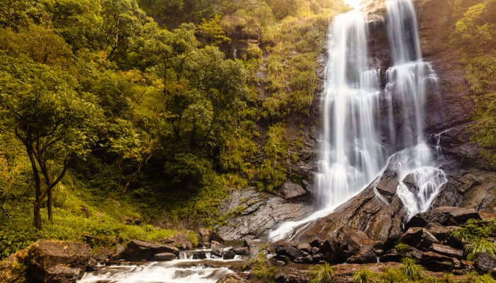 Beautiful waterfalls in Bhadra tiger reserve forest