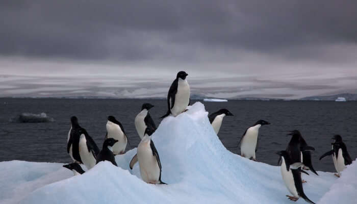 natural tourist attractions in antarctica