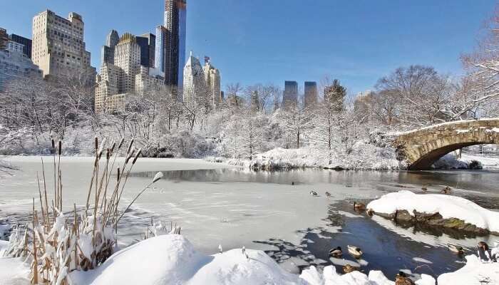 America In December 2021 See The Best Places To Visit And Things To Do