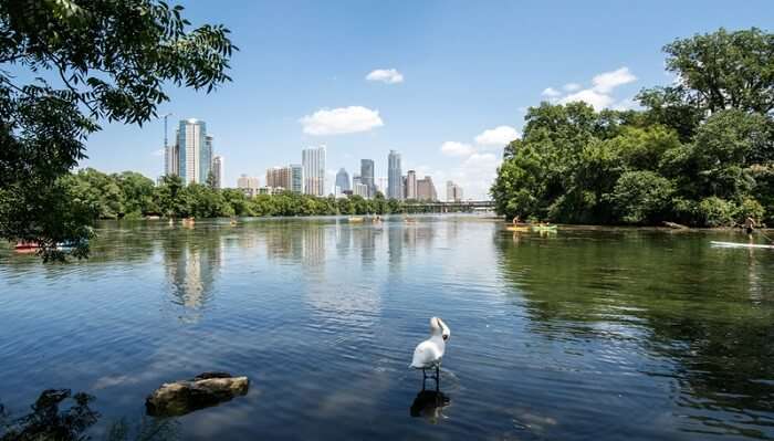 Austin