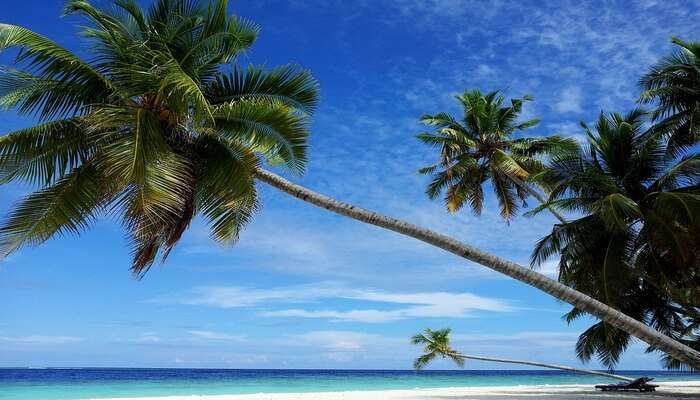 maldives island view