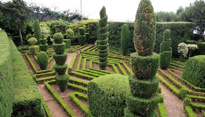 Botanical Garden