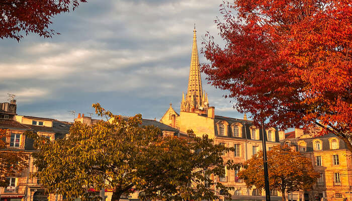 What Is November In France