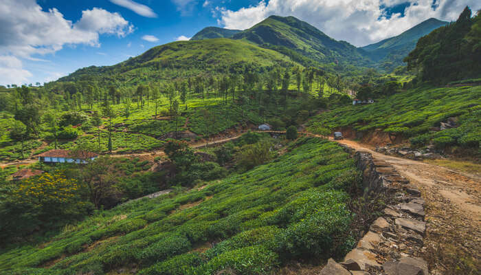 Best Places To Visit In Wayanad In June