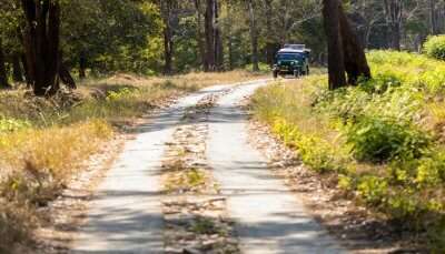 Awesome Road Trips From Mysore