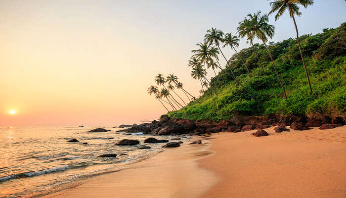 10 Hotels Near Goa