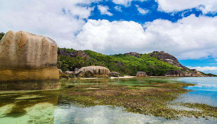 Seychelles In August