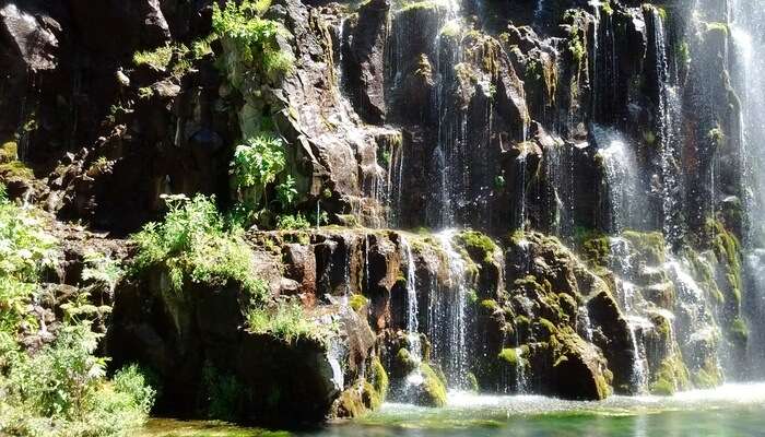 Dashbashi Canyon