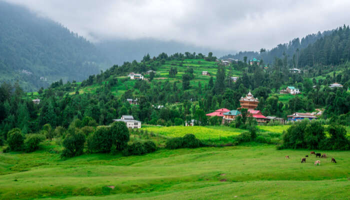 Landscape beautiful scenic view, Uttarakhand