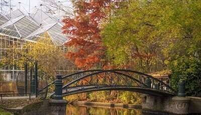 De Hortus Botanicus is one of the best places to visit in Amsterdam