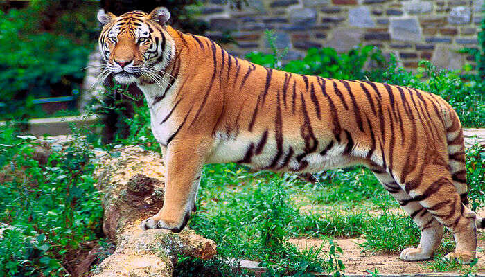 largest wildlife sanctuaries near Chennai