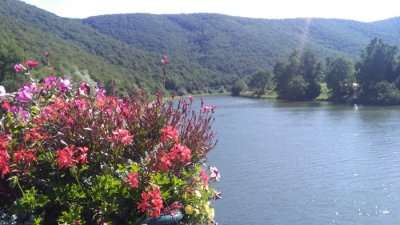 Flowers and Lake in a Valley is one of the best places to visit in Belgium