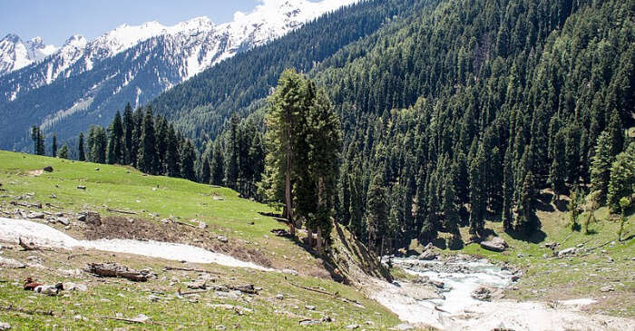 3 Surreal Valleys In Pahalgam One Must Definitely Visit While In Kashmir!