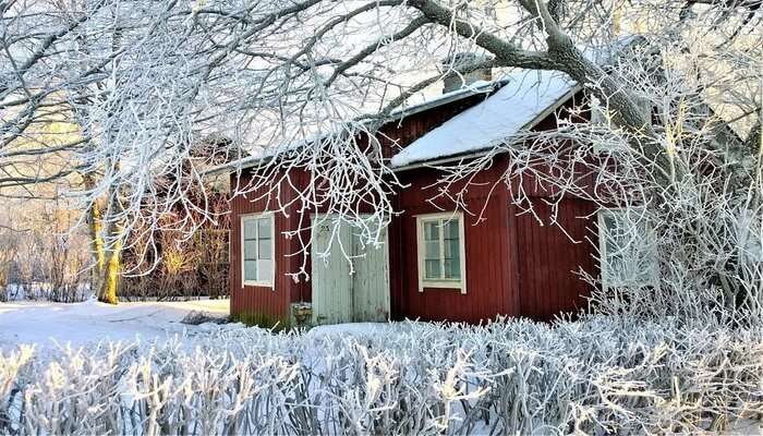 Snow View Cottage