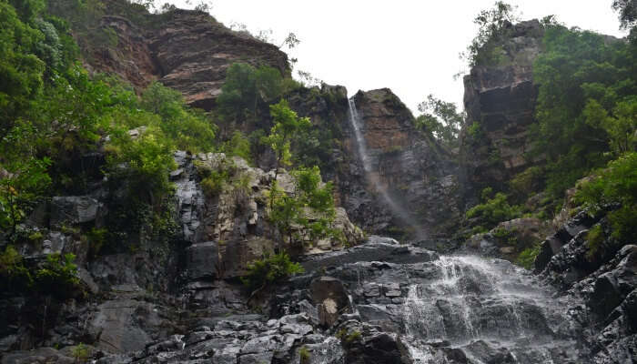 beautiful ambiance and greenery surrounding the falls