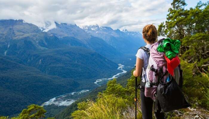 Things To Do In New Zealand