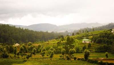 Top Places To Visit In Ooty