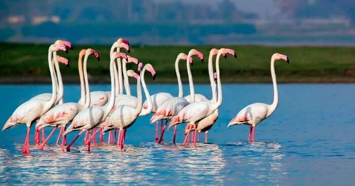 5 Best Wildlife Sanctuaries Near Pune One Must Definitely Visit In 2022!