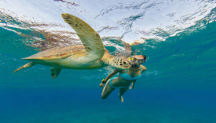 Best Snorkeling In Langkawi