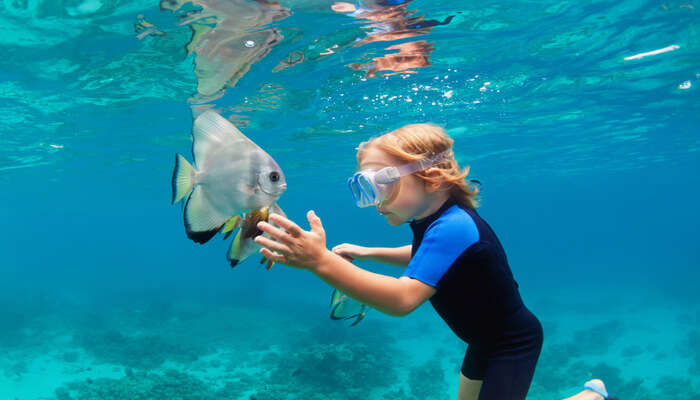 Best Snorkeling In Seychelles