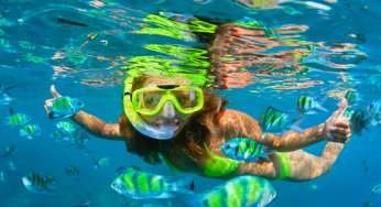 9 Dreamy Places For Snorkeling In Miami On Your Next Trip 9 Dreamy Places For Snorkeling In Miami