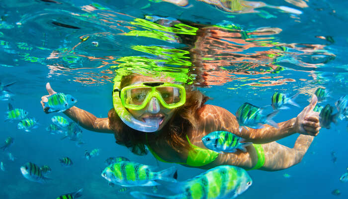 Best Snorkeling in india