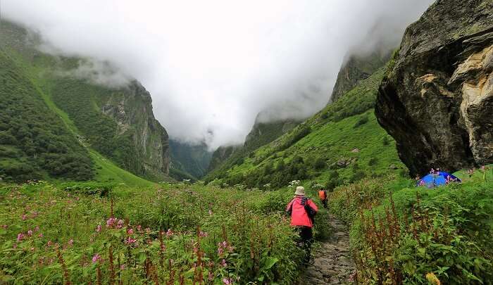 uttarakhand tourism guidelines